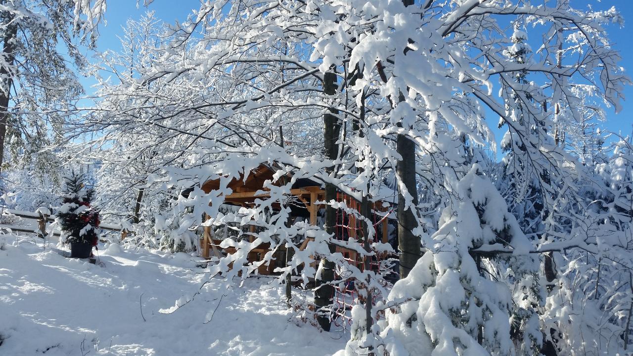 Willa Gusia, Apartamenty Zakopane Exterior foto